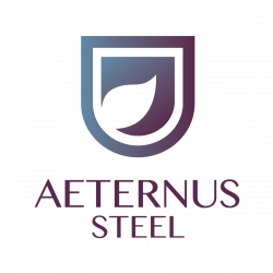 aeternus-steel-logo-FAW-01.png